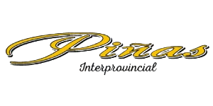 piñas removebg preview